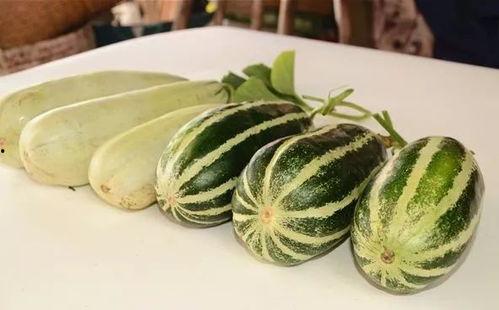 网红吃长瓜,趣味横生引网友热议 第3张 网红吃长瓜,趣味横生引网友热议 第3张